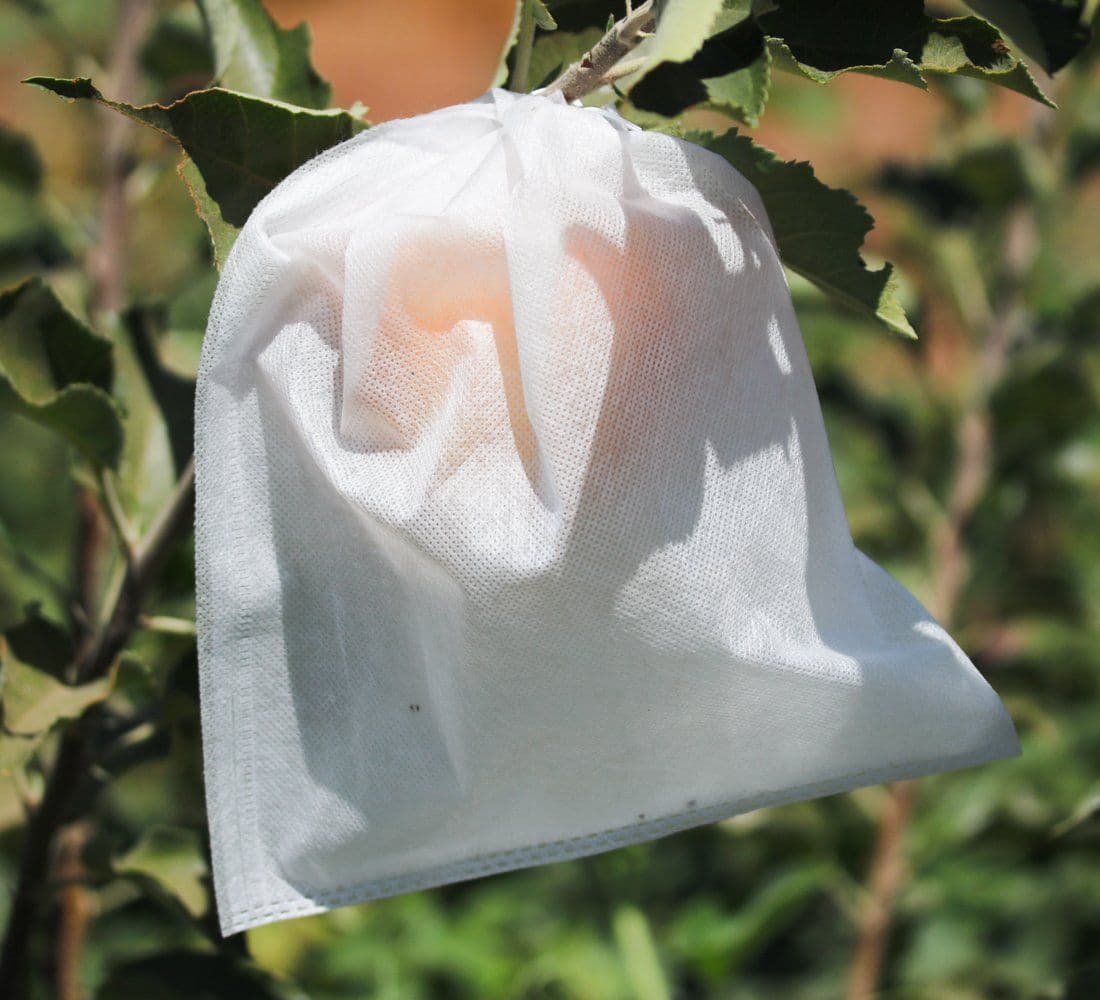 Fruit Protection Bags